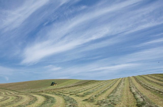 Feld mit Traktor