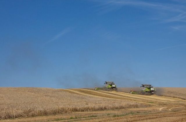 Mähdrescher auf dem Feld
