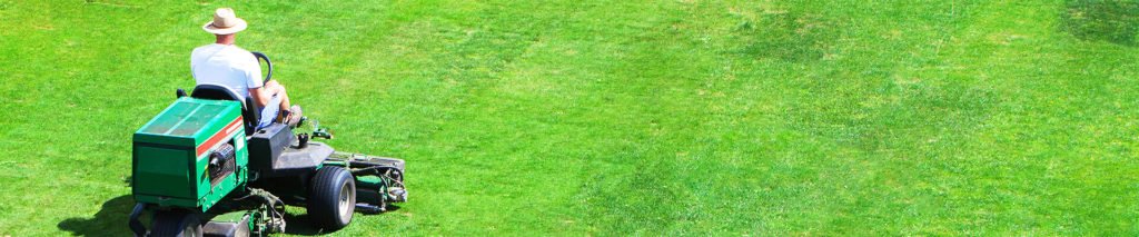 Rasengräser - Saatzucht Steinach GmbH & Co KG