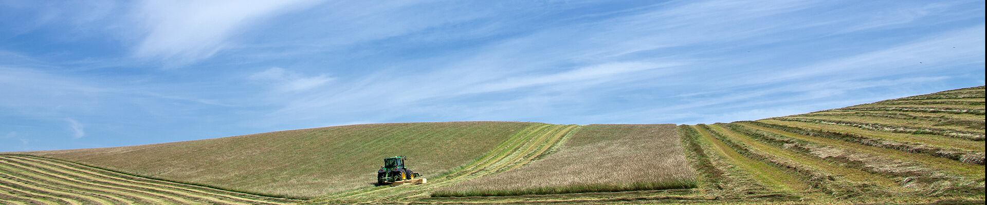 Feld mit Traktor