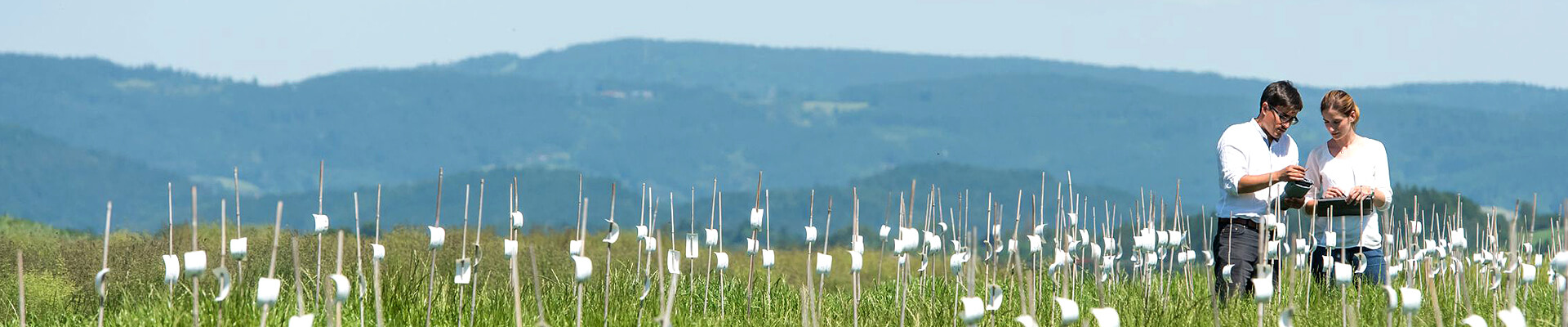 Zwei Personen überprüfen Feld